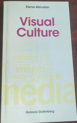 Prof. dr. Elena Abrudan - Visual culture - concepts &amp;amp; contexts foto