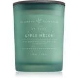 DW Home Charming Farmhouse Apple Melon lum&acirc;nare parfumată 414 g