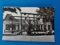 CPIB 23388 CARTE POSTALA - VEDERE DIN BUZIAS, CIRCULATA, 1966, STAMPILE, TIMBRU
