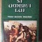 CREATORUL SI UMBRA LUI-VICTOR IERONIM STOICHITA-190633
