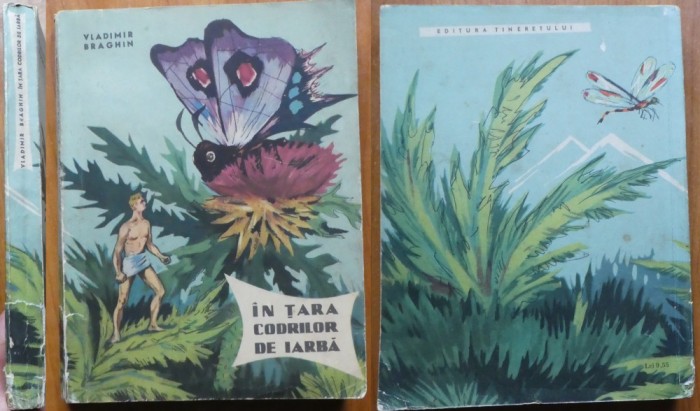 Vladimir Braghin, In tara codrilor de iarba, 1962