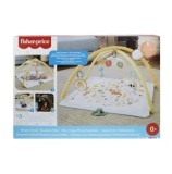 Cumpara ieftin Salteluta de activitati Fisher Price
