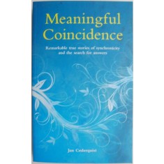 Meaningful Coincidence. Remarkable true stories of synchronicity and the search for answers &ndash; Jan Cederquist