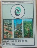 T. Groza - Legume pomi si vita de vie pe langa casa
