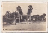 Bnk cp Egipt - Alexandria - Intrarea principala in Parcul Nouzha - necirculata, Printata