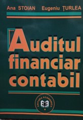 Ana Stoian - Auditul financiar contabil foto