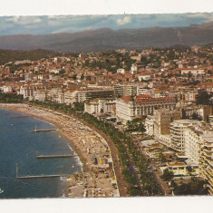 FA8 - Carte Postala - FRANTA - La Cote d'Azur, Cannes, necirculata