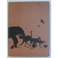 THE COLOURFUL WORLD OF ANIMALS by MAURICE and JANE BURTON , 1975