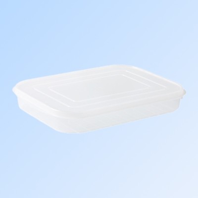 Cutie de depozitare de uz casnic, Cyrax, Caserola pentru Frigider, Rezistenta la umiditate, Rezervor Sigilat pentru Depozitare Alimentara, 24.5 x 18.5 foto