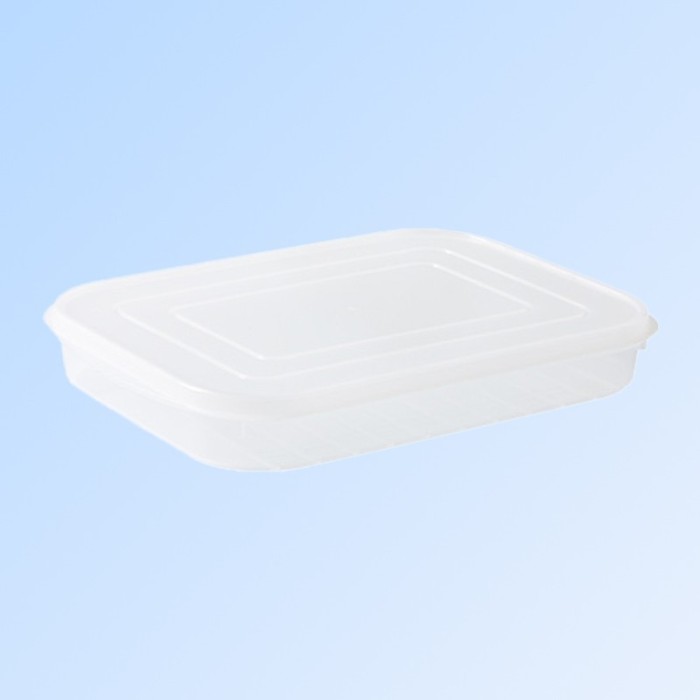 Cutie de depozitare de uz casnic, Cyrax, Caserola pentru Frigider, Rezistenta la umiditate, Rezervor Sigilat pentru Depozitare Alimentara, 24.5 x 18.5
