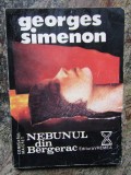 GEORGES SIMENON - NEBUNUL DIN BERGERAC