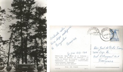 *Romania, Tg. Jiu, Masa tacerii, carte posta ilustrata circulata intern, 1969 foto