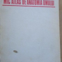 Mic atlas de anatomia omului-Dem Theodorescu