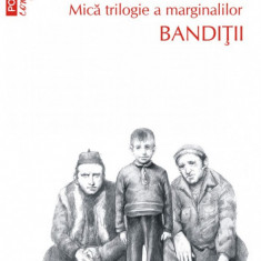 Banditii. Vasile Ernu (editia a III-a, de buzunar)