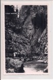 Fotografie tip carte postala necirculata din perioada interbelica