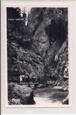 Fotografie tip carte postala necirculata din perioada interbelica