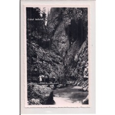 Fotografie tip carte postala necirculata din perioada interbelica