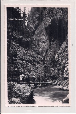 Fotografie tip carte postala necirculata din perioada interbelica foto