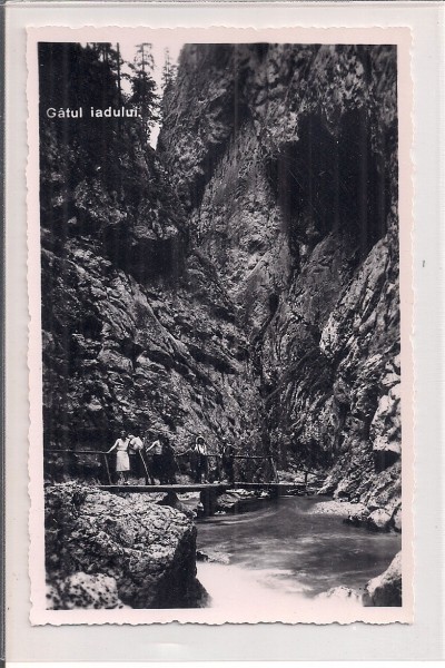 Fotografie tip carte postala necirculata din perioada interbelica
