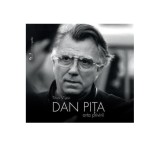 Dan Pi&Aring;&pound;a. Arta privirii - Hardcover - Titus Vijeu - Noi Media Print