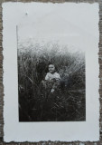 Copil jucandu-se in iarba// fotografie interbelica, Romania 1900 - 1950, Portrete