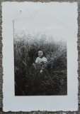 Copil jucandu-se in iarba// fotografie interbelica