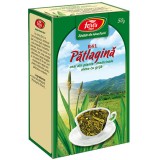 Ceai Patlagina Frunze Fares 50gr
