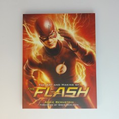 The Art And Making Of The Flash