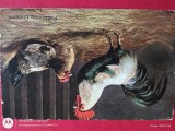 Regalitate Romania, carte postala superba, Circulata, Printata