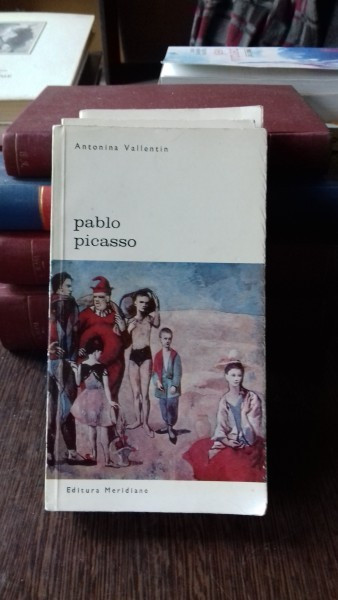 PABLO PICASSO - ANTONINA VALLENTIN