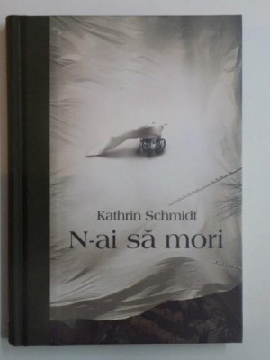 N - AI SA MORI de KATHRIN SCHMIDT , 2011 foto