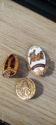 insigne pompieri 12 foto