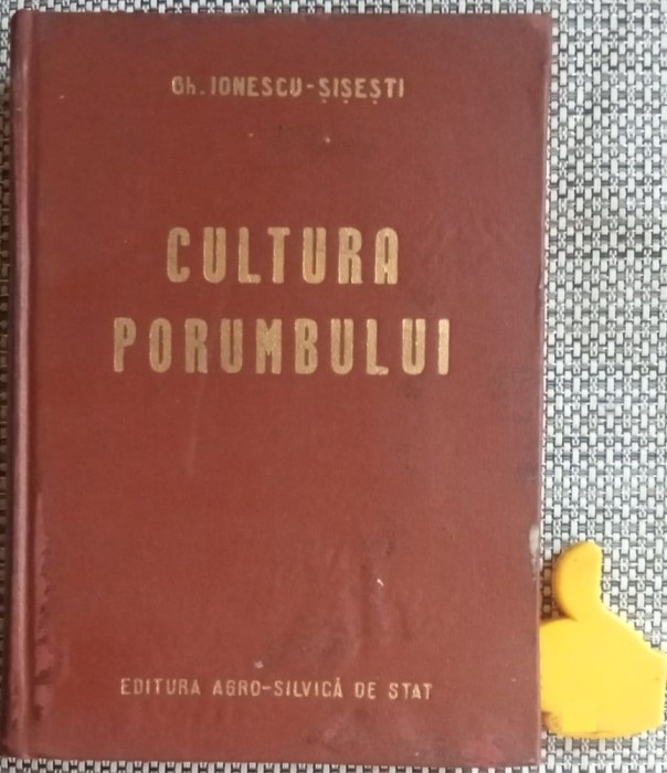 Cultura porumbului Gh. Ionescu-Sisesti