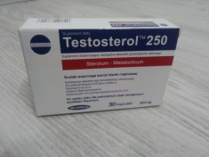 Megabol - Testosterol 250 foto