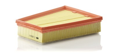 MANN-FILTER C 2510/1 Filtru aer foto