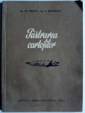 Pastrarea cartofilor - Gh. Prodan