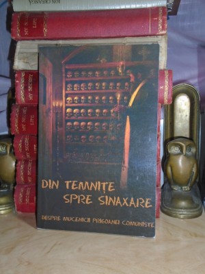 DANION VASILE - DIN TEMNITE SPRE SINAXARE_MUCENICII PRIGOANEI COMUNISTE , 2008 # foto