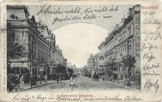 CP771N București, Bulevardul Elisabeta, 1905, carte poștală