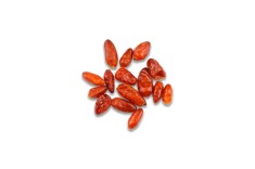 Ardei Piquin uscat - vrac (25g) foto