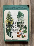 Sa ne cunoastem plantele medicinale, Propietatile lor terapeutice si modul de folosire - Gr. Constantinescu