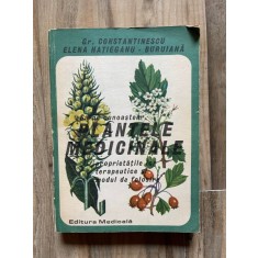 Sa ne cunoastem plantele medicinale, Propietatile lor terapeutice si modul de folosire - Gr. Constantinescu
