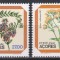 Portugalia, Azore 1982 - Flori, MNH