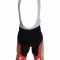 Pantaloni Ciclism Culoare Roz/Verde Marimea S Cod:MXBEL016