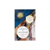 Living in Wonder: Finding Mystery and Meaning in a Secular Age