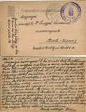 CP1733N Feldkorrespondezkarte, ștampila Magyar kir&aacute;lyi I honv&eacute;d lovas t&uuml;z&eacute;r oszt&aacute;ly, T&aacute;bori postahivatal 13, expediată la Arad, 1916