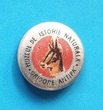 Insigna veche de colectie Muzeul de Istorie Naturala Grigore Antipa - fauna