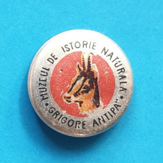 Insigna veche de colectie Muzeul de Istorie Naturala Grigore Antipa - fauna