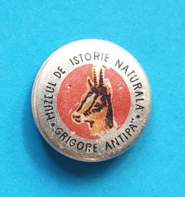 Insigna veche de colectie Muzeul de Istorie Naturala Grigore Antipa - fauna foto