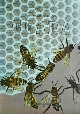 Traian Volcinschi - Ceara foto