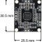 HW-009 PAM8610